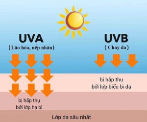 Những yếu tố ảnh hưởng đến sự hấp thụ tia UV trên da